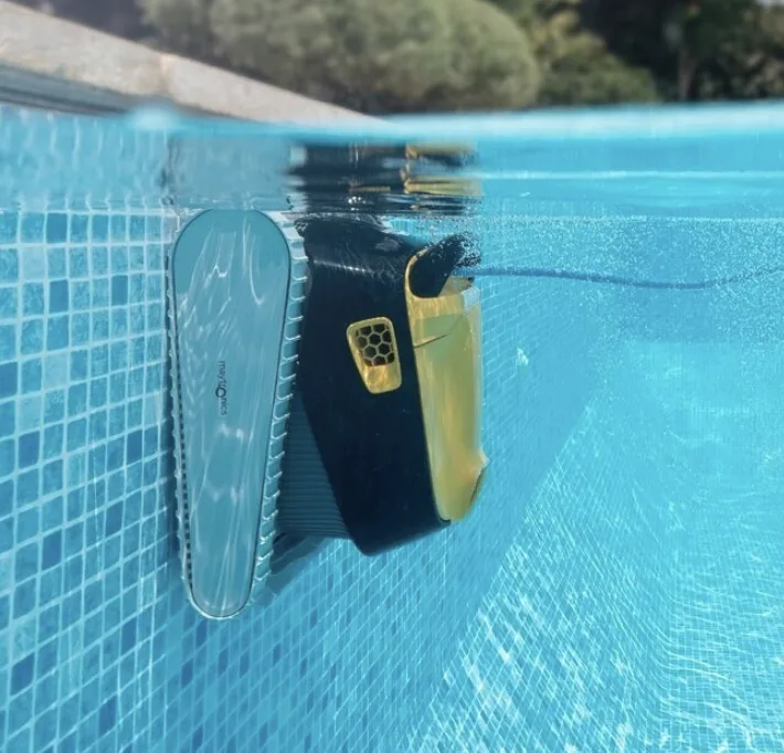 Double brosse active du Dolphin E35